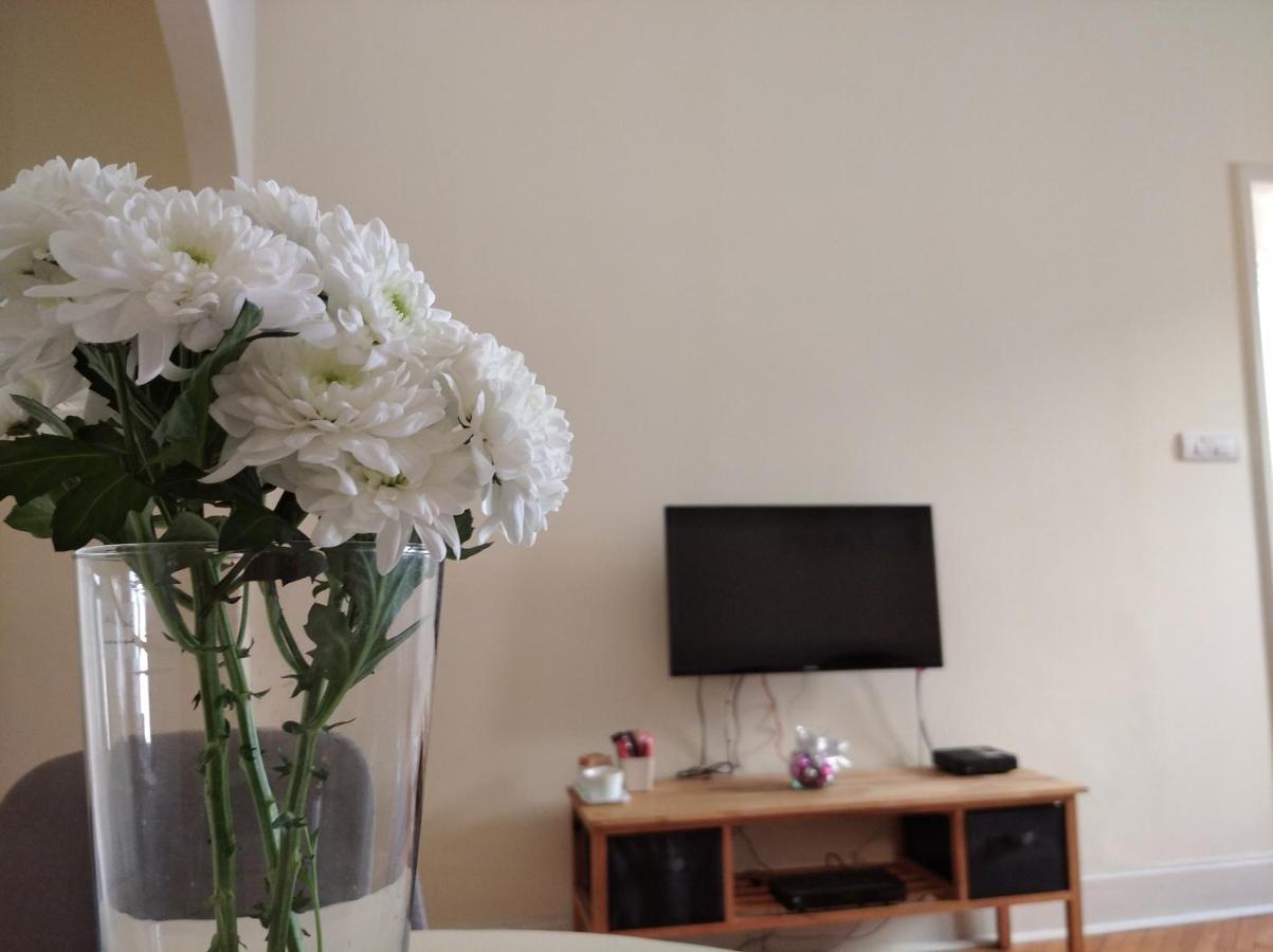 Apartment Central Belgrado Esterno foto